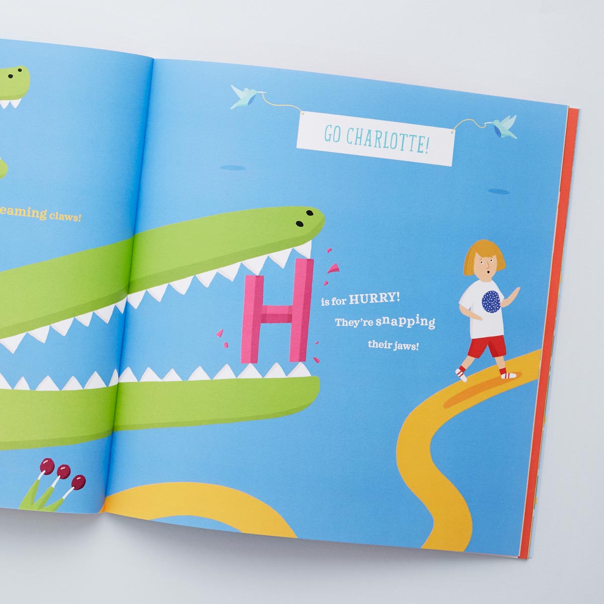 The Great Alphabet Chase Abc Learn To Read Book Papier