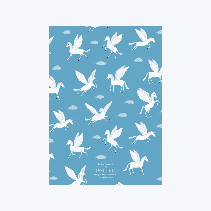 Pegasus company essay image