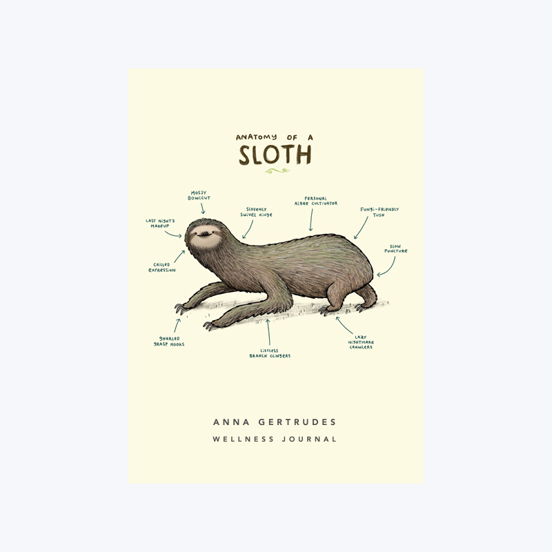 Anatomy Of A Sloth | Wellness Journal | Papier