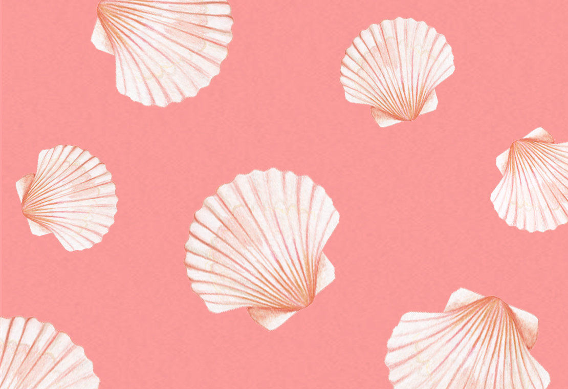 A Love Letter To... Shells | Papier